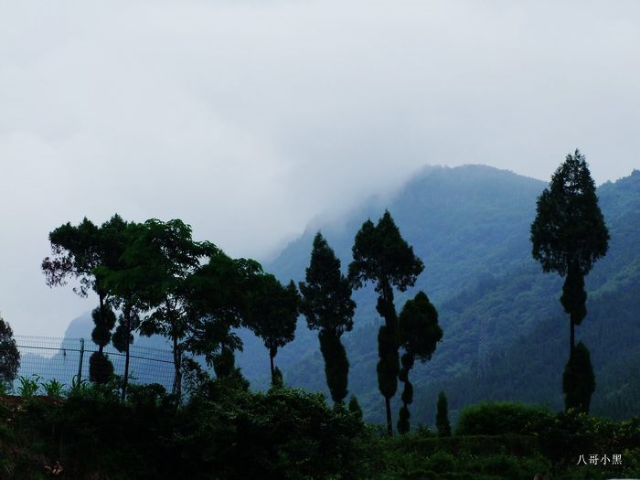 秦岭风光 摄影 八哥小黑