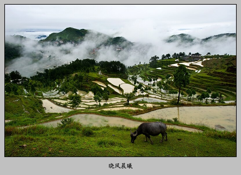 烟雨茗岙——3 摄影 晓风晨曦