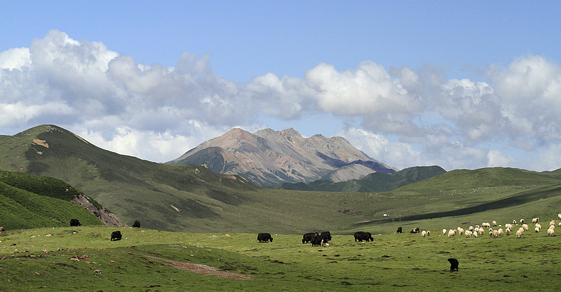 祁连牧歌 摄影 风火山洞主