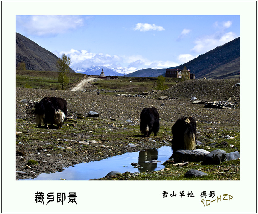 藏乡即景 摄影 雪山草地