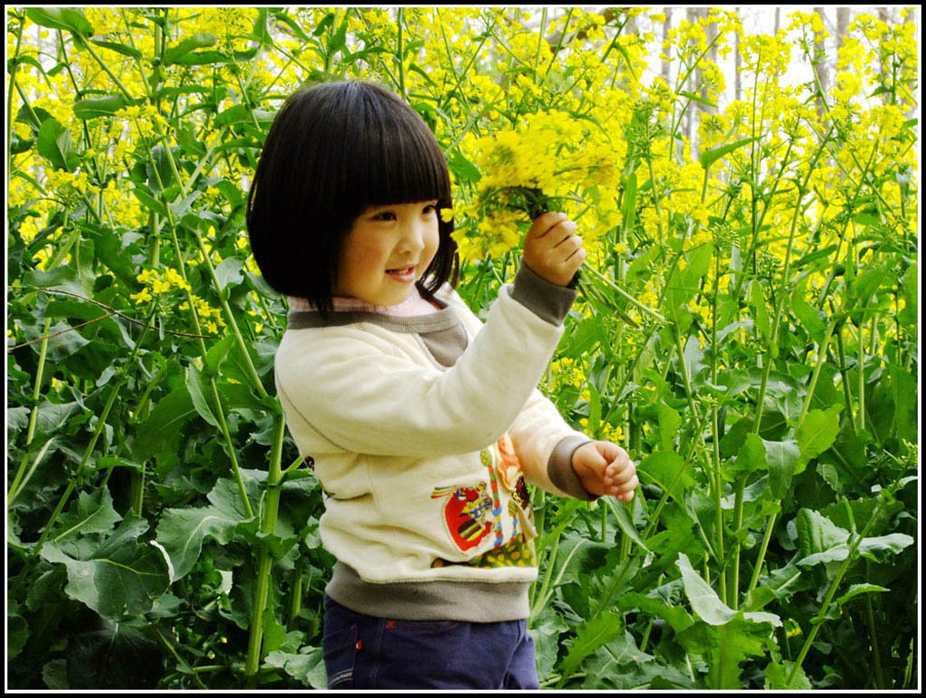 菜花仙子 摄影 zhanghq1958