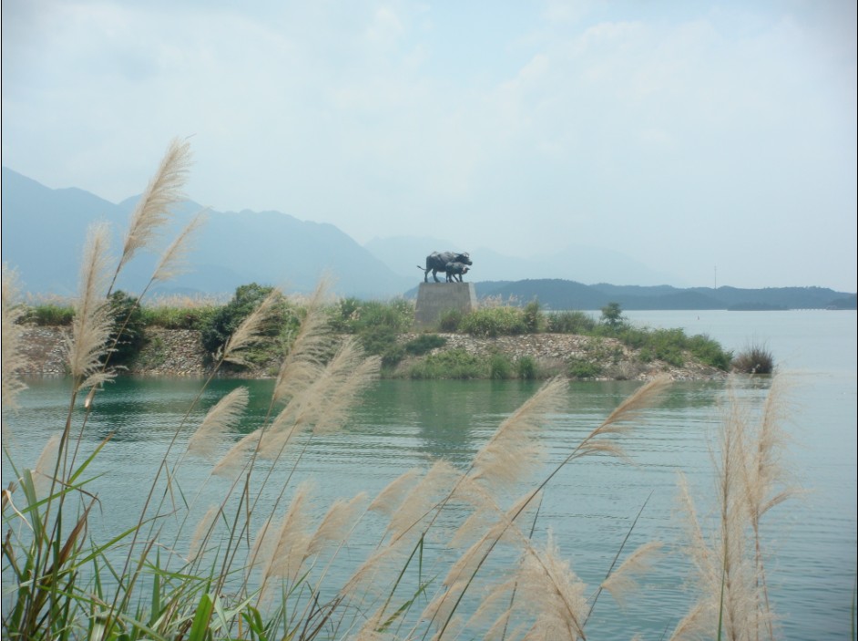 柘林水库 摄影 山下兰芽