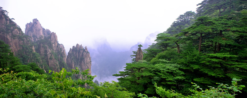 黄山 摄影 今非昨