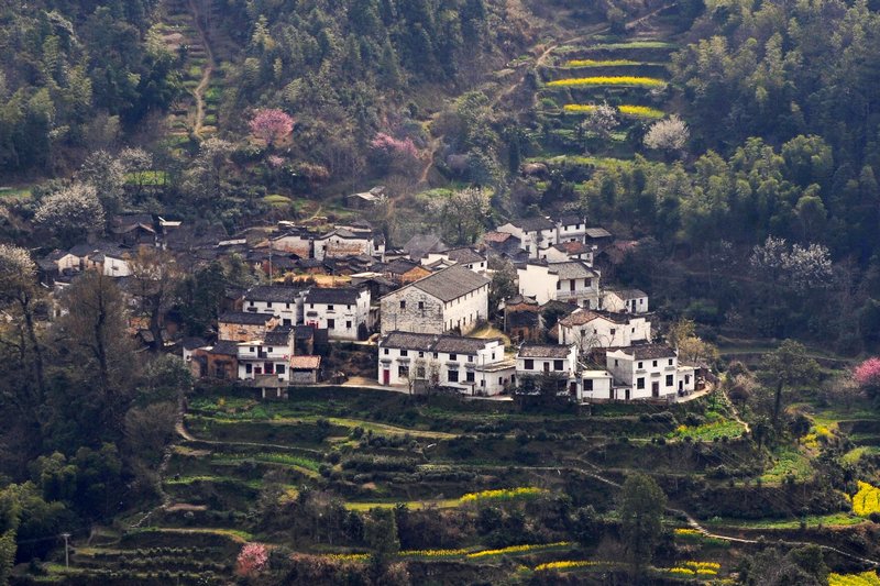 山村春色 摄影 叶韵