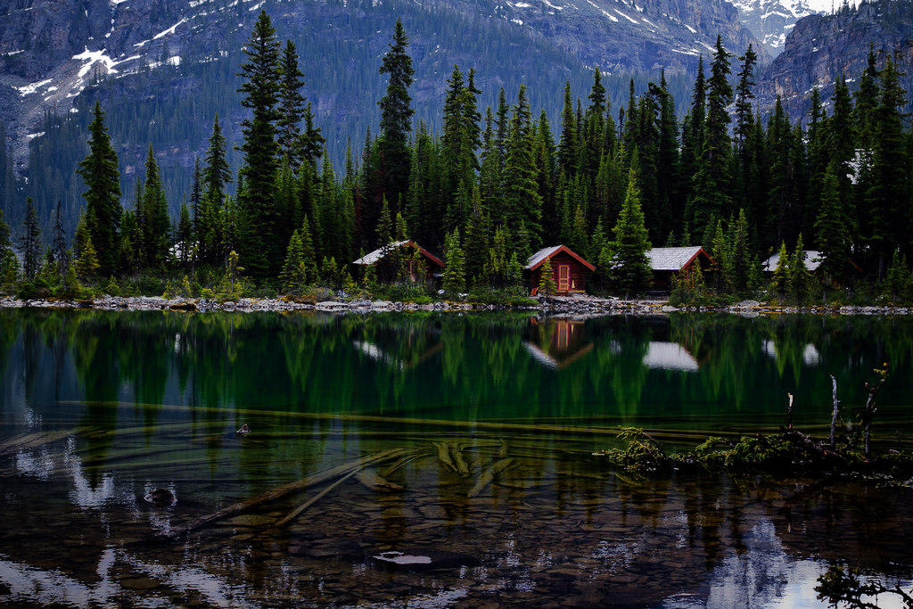 Lake O'Hara 摄影 月湾儿