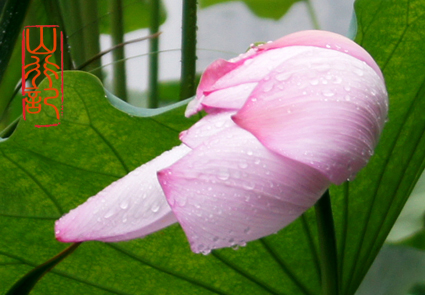 云似梦 雨如尘 摄影 ddlddl