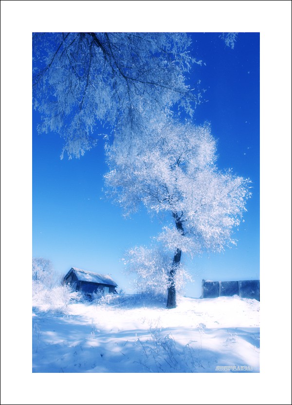 簌簌雪 摄影 水舞蓝黛