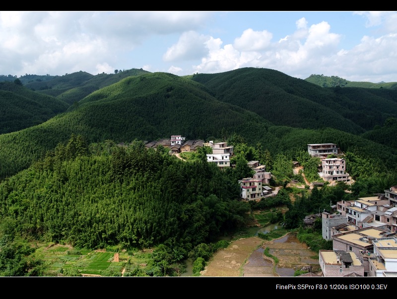 竹乡山村 摄影 竹海大观