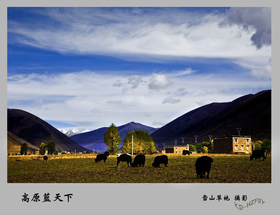 高原蓝天下 摄影 雪山草地