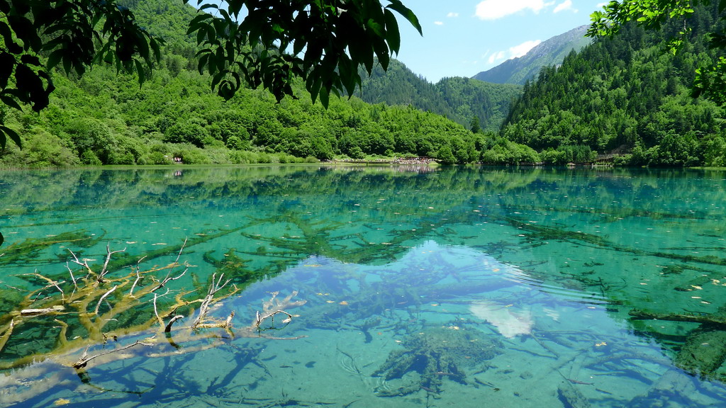 九寨沟风景 摄影 驱邪先生