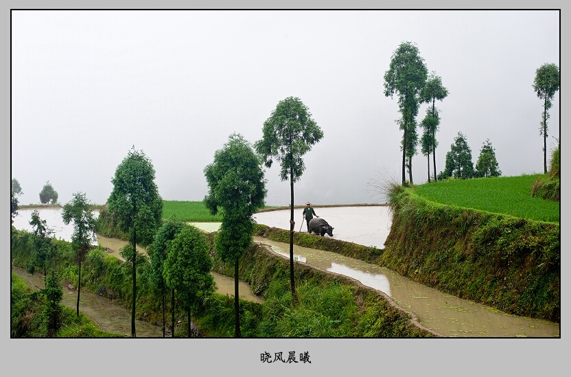 烟雨茗岙——9 摄影 晓风晨曦