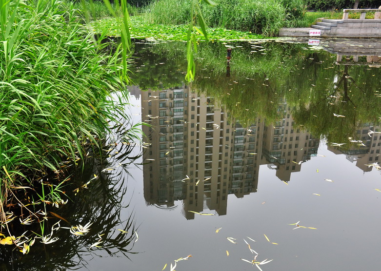 他家在水旁 摄影 liuguorong