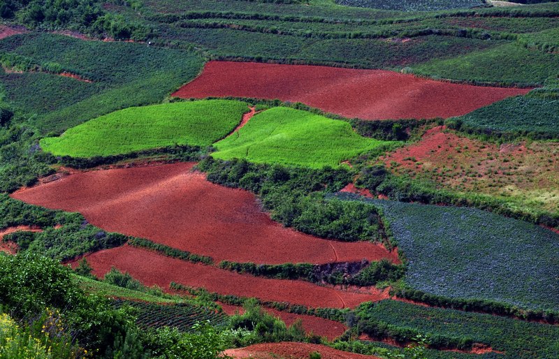 七月红土地 摄影 yanxiaohua