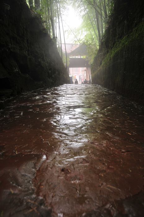 雨雾深处 摄影 冬林