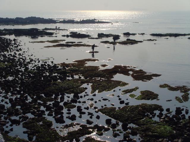 青岛海滨 摄影 青岛老人头