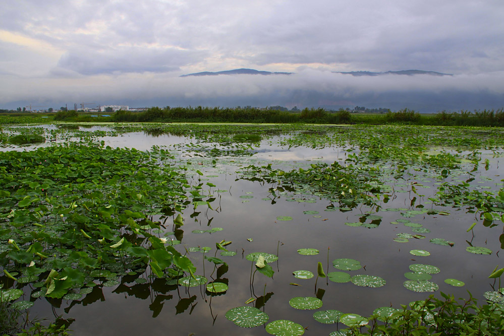 雨后清晨的异龙湖畔 摄影 心忆已久