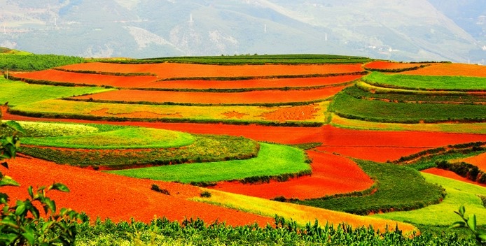 七月红土地 摄影 yanxiaohua