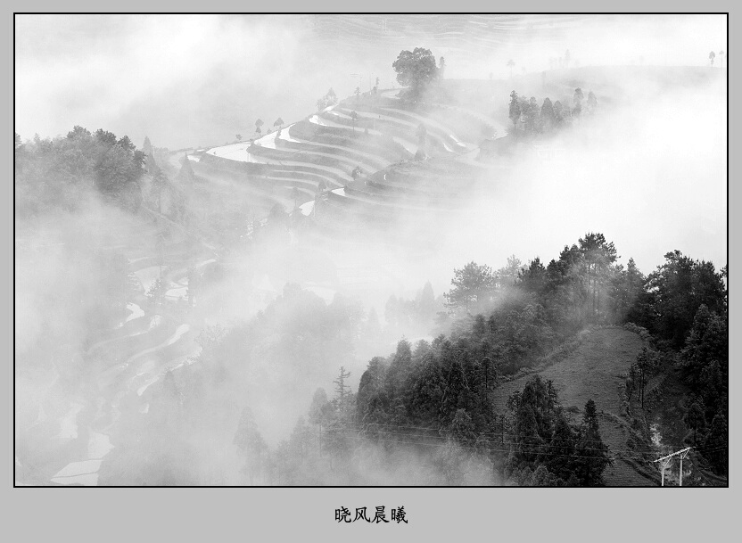 烟雨茗岙——11 摄影 晓风晨曦