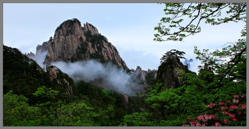 黄山之春 摄影 重庆水兵