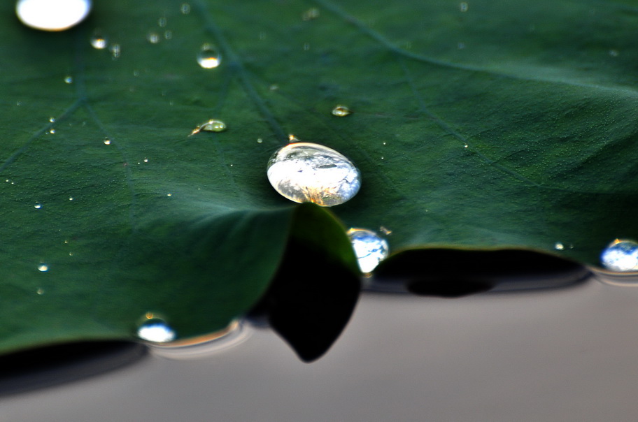 水蛋 摄影 liuguorong