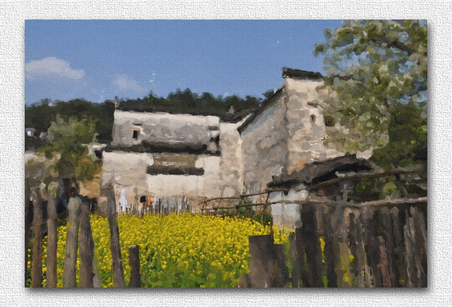 乡村小景 摄影 老晨