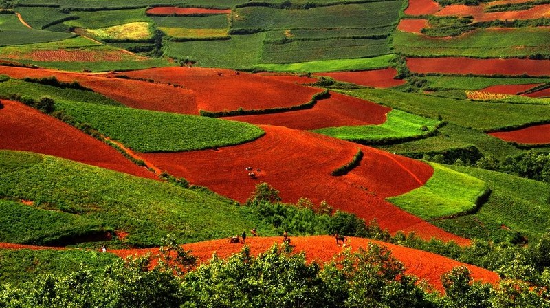 七月红土地 摄影 yanxiaohua