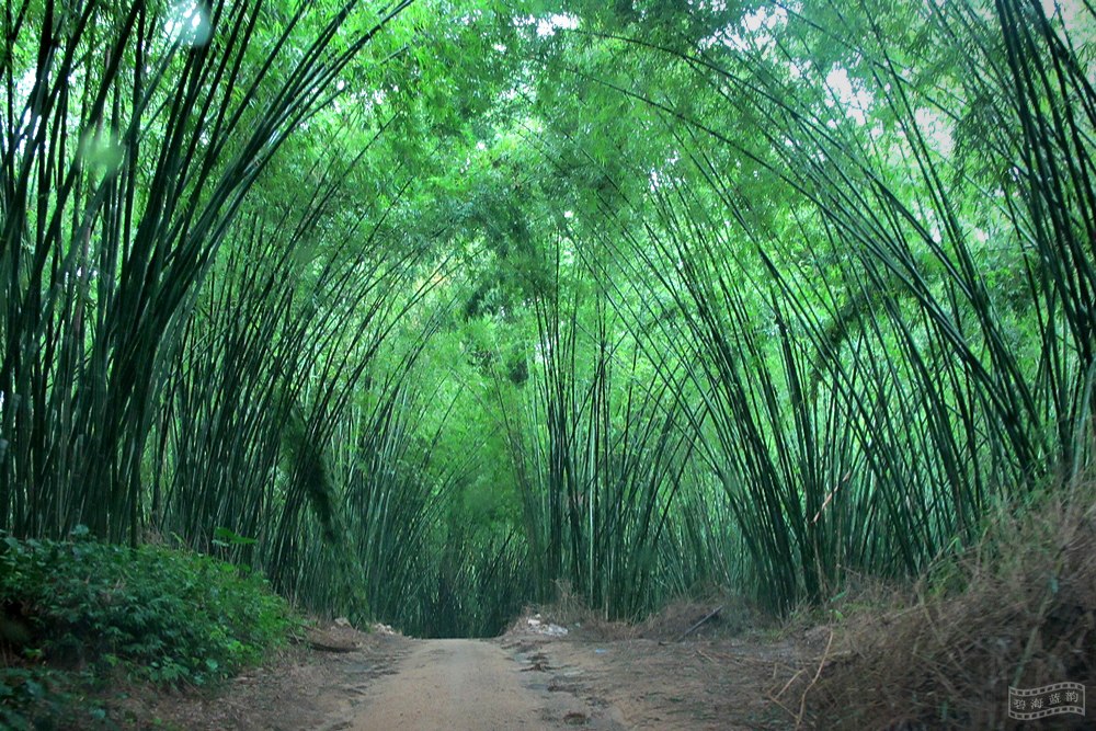 乡间小路 摄影 碧海蓝韵