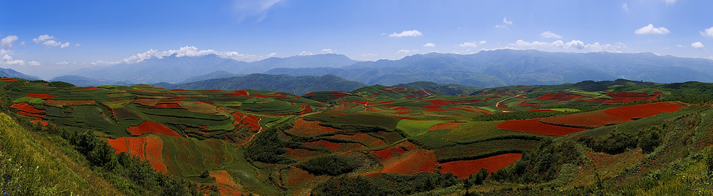 红土地 摄影 晓武