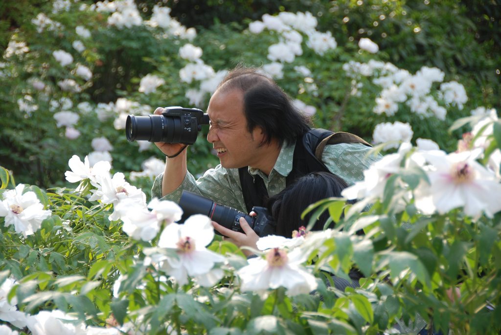 花丛中 摄影 石径