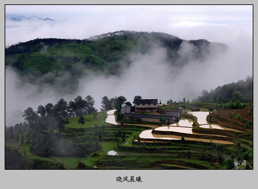 烟雨茗岙——15 摄影 晓风晨曦