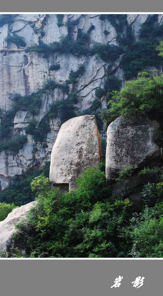 山中石 摄影 岩影