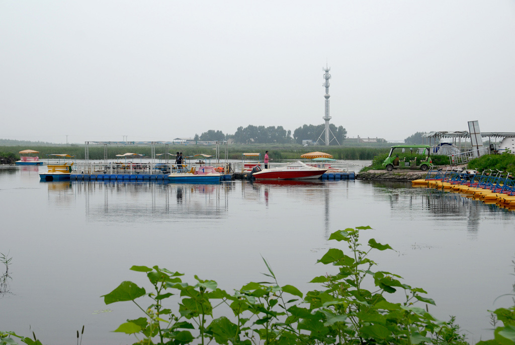 湿地景观 摄影 任虹颖