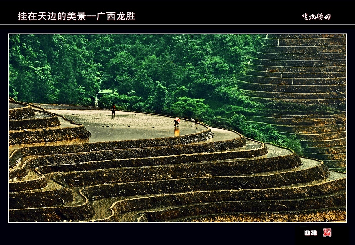 大地五线普 摄影 四维xueshe