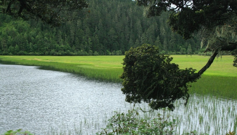 香格里拉碧塔海（3） 摄影 溪里峰