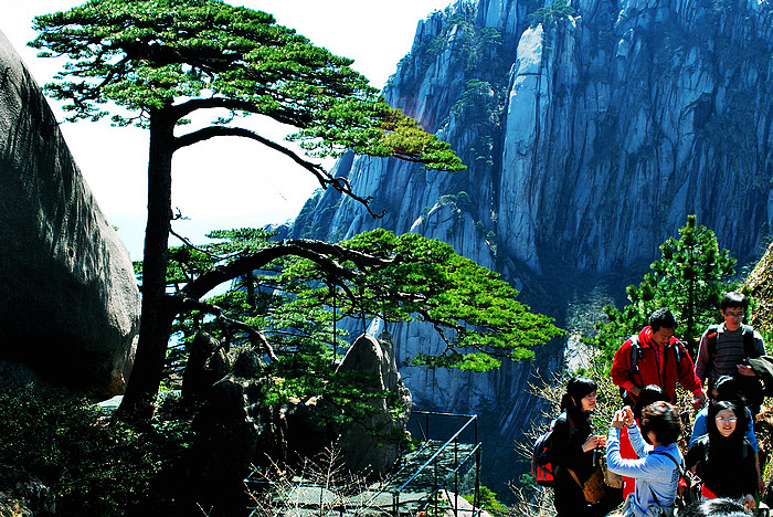 黄山风光 摄影 gaodi2011