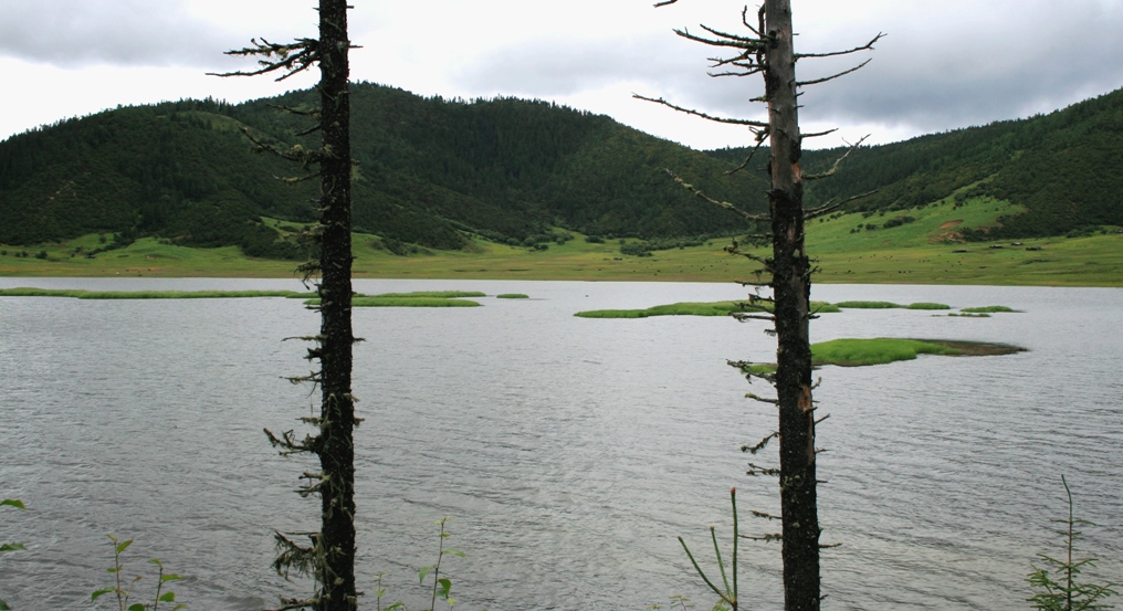 香格里拉碧塔海（2） 摄影 溪里峰