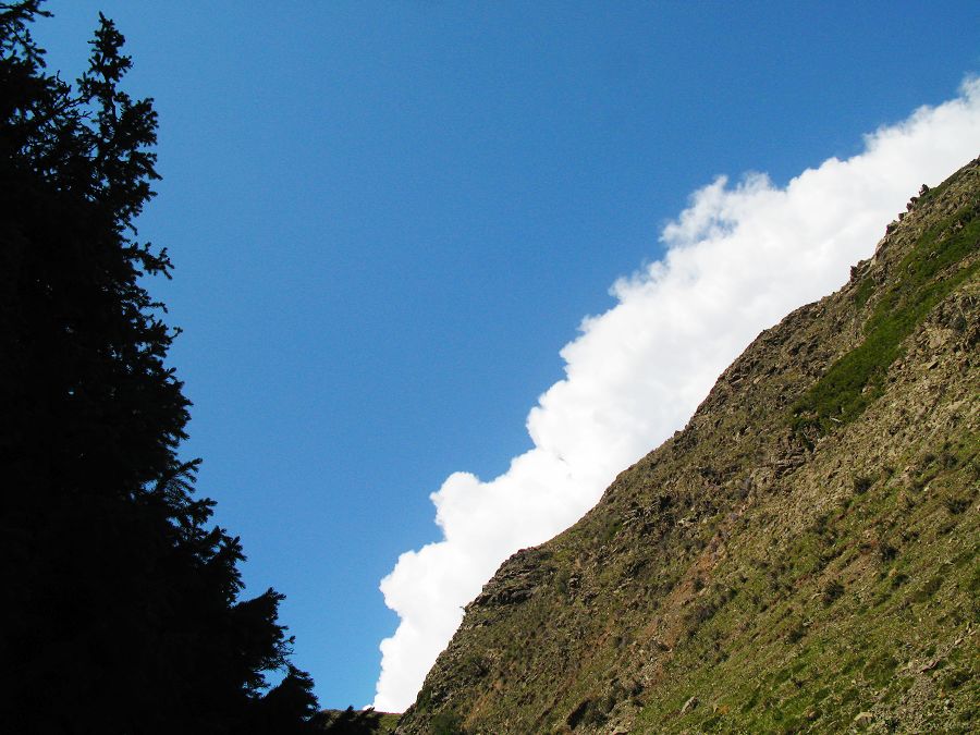 云 松 山 摄影 shanfenghao