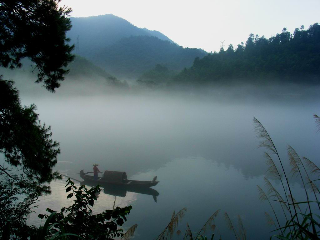 松映小舟 摄影 盛夏明月