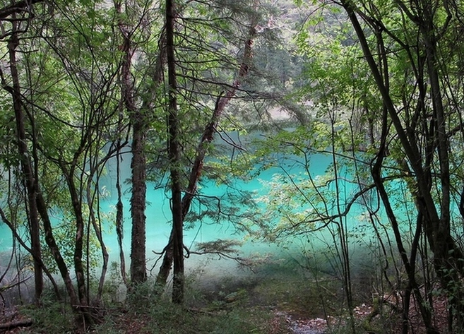 九寨沟的海 摄影 卡特兰