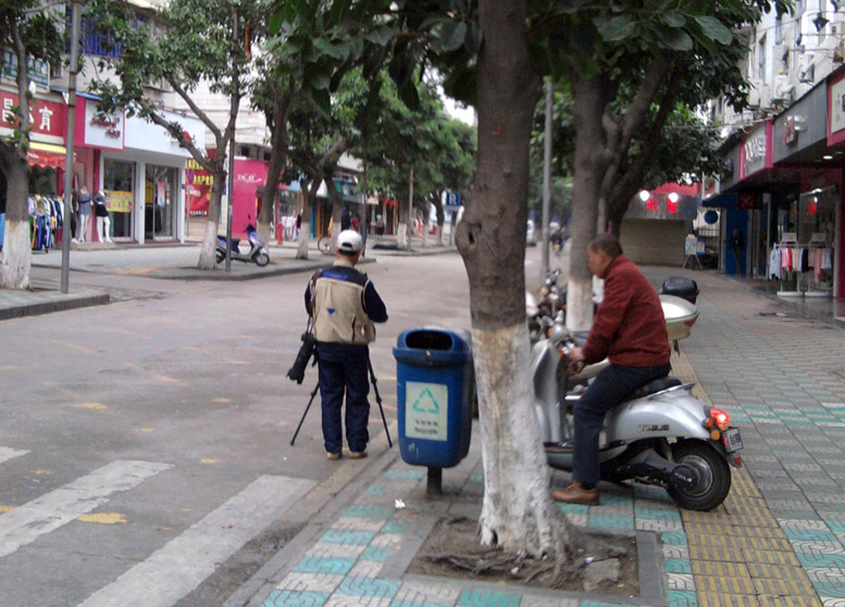 摄街 摄影 深山的绿叶