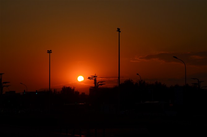 末梢夕阳 摄影 贞观豫