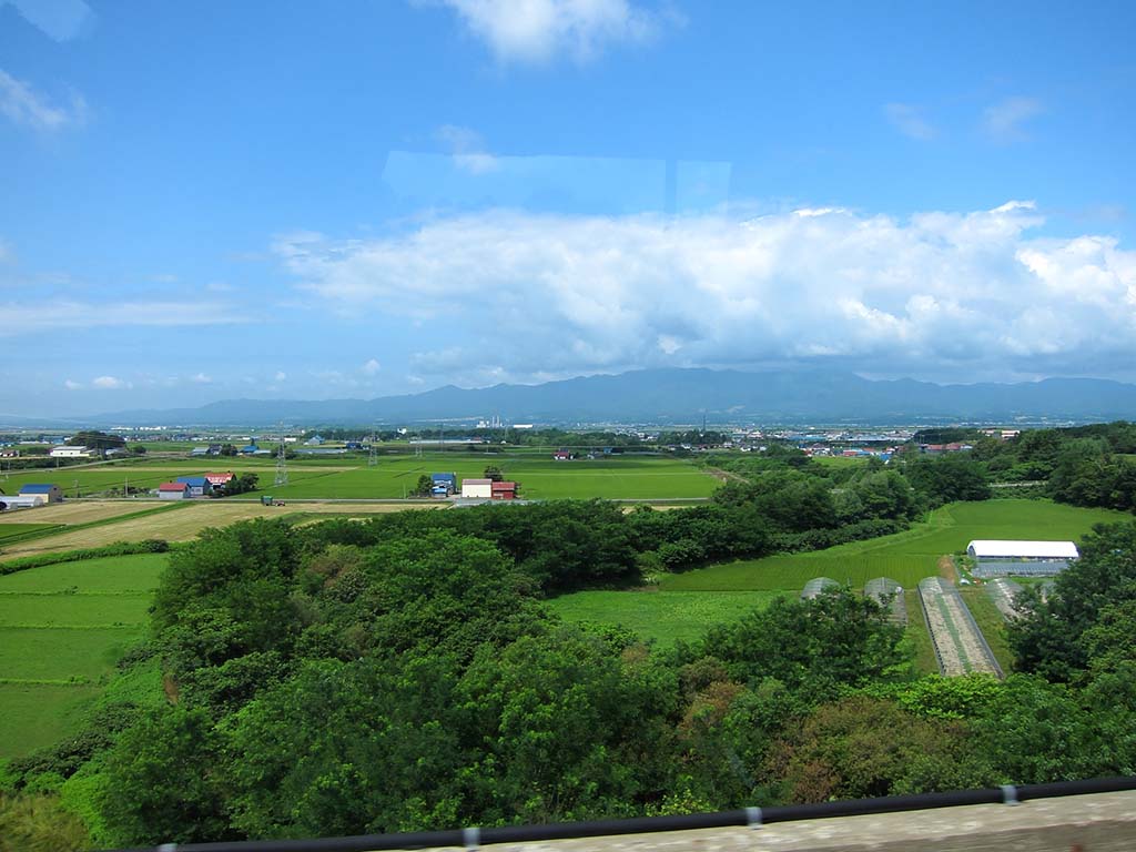 养眼 摄影 鲁鲁黑土