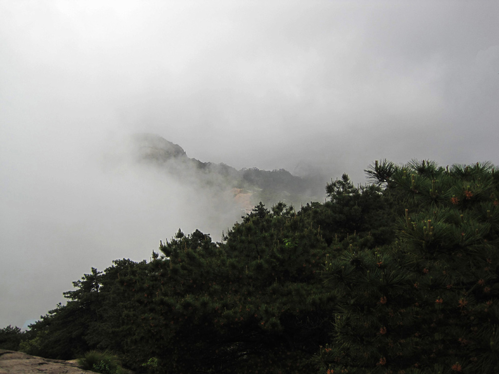 雾锁黄山 摄影 山猴