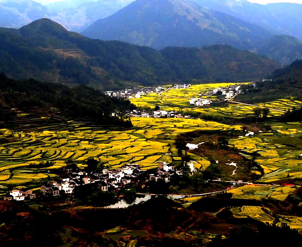 美丽的山河——油菜花香满山川 摄影 江林风光