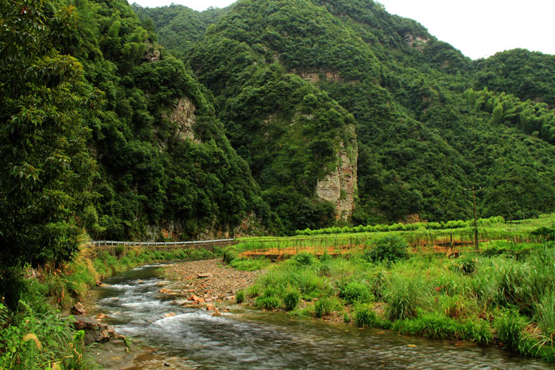 山色2 摄影 滴水冠英花