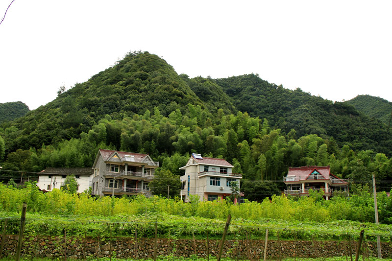 山色4 摄影 滴水冠英花