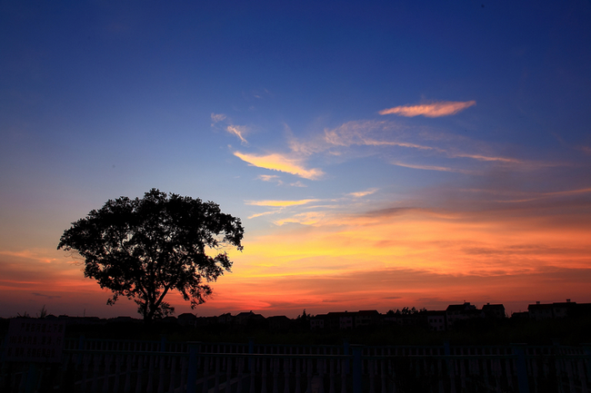 夕阳 摄影 千里清秋