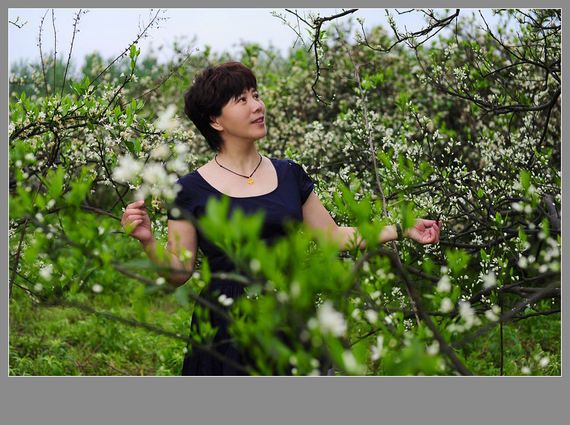 《桔子花开的季节》 摄影 陋室人