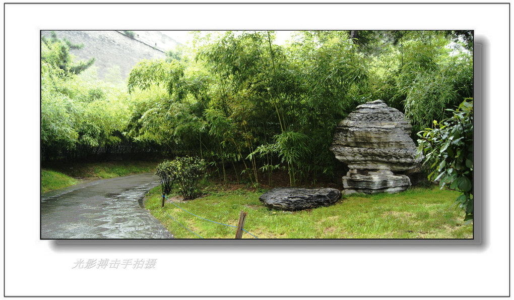 雨后小景 摄影 搏击光影手