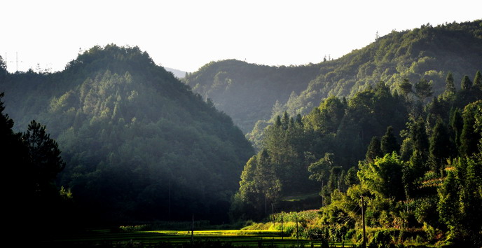 齐岳山之夏 摄影 txj627